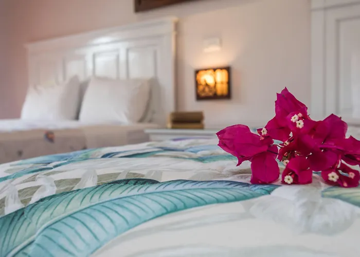 Grace Boutique Phan Thiết